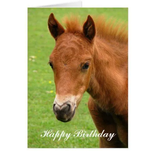 Tarjeta del feliz cumpleaños del caballo del bebé | Zazzle