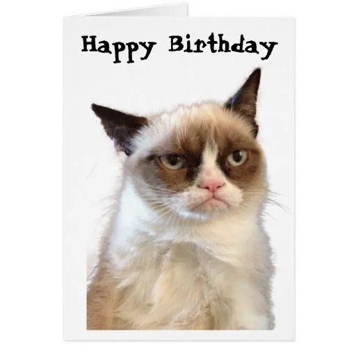 Tarjeta gruñona del feliz cumpleaños del gato | Zazzle