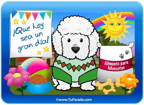 Tarjeta-juego: Perro Caniche Toy, Perros, tarjetas