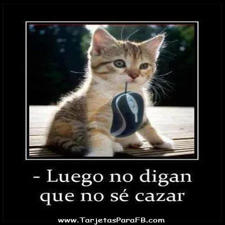 tarjetas-para-facebook- ...