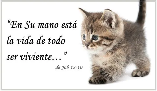 Tarjetas cristianas, Postales, Virtuales Gratis, Animadas ...