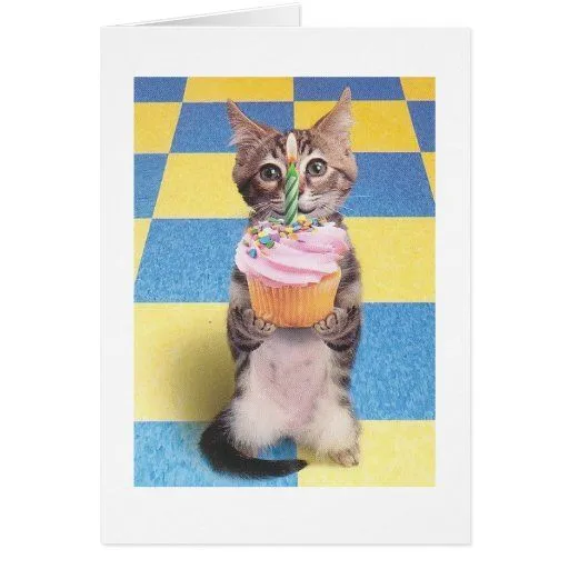 tarjeta de cumpleaños del gato de la magdalena de Zazzle.