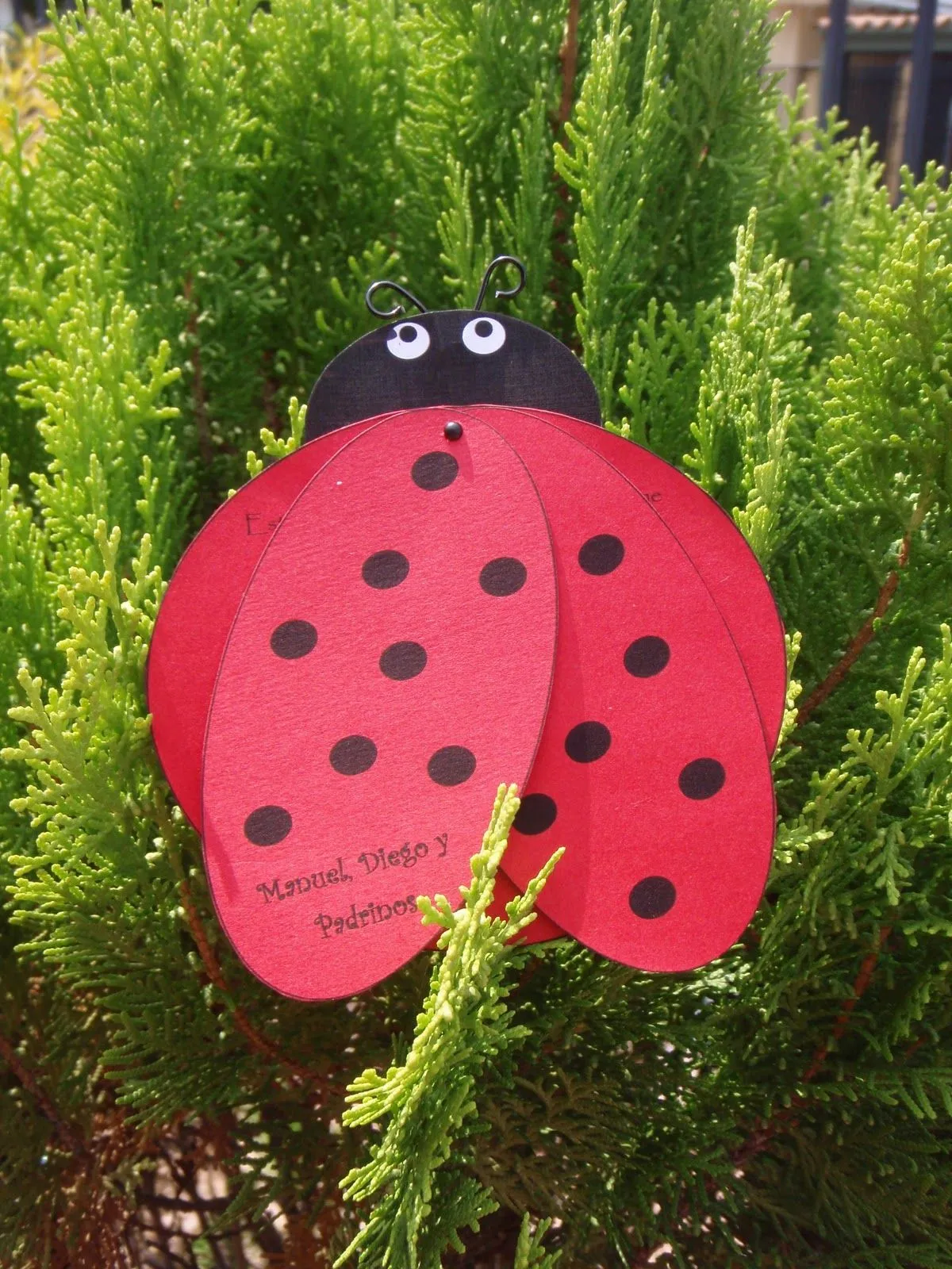 Ideas Creaciones y Scrapbook!!!: Invitacion Mariquita ...