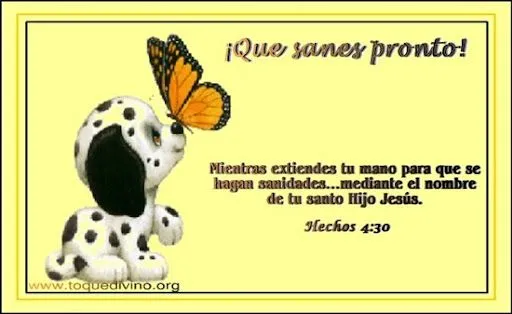 20086282255500_QUE%25252520 ...