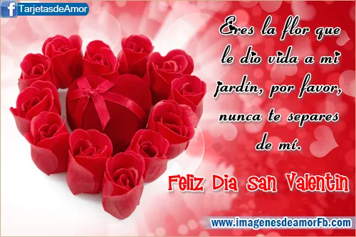 Tarjetas para san valentin con frases de amor ~ Imagenes de amor ...