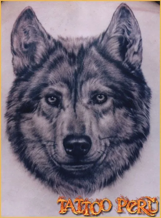 Tattoos on Pinterest | Wolf Tattoos, Wolves and Wolf Tattoo Design