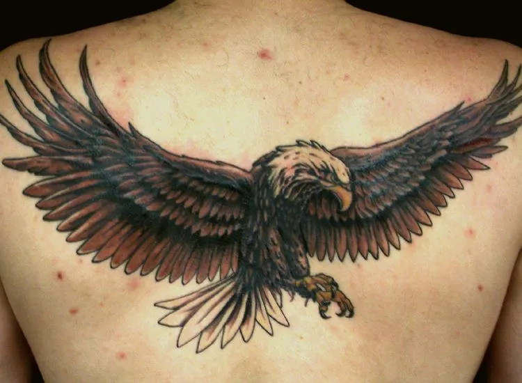 Tatuaggio Aquila: disegni e significati - PassioneTattoo