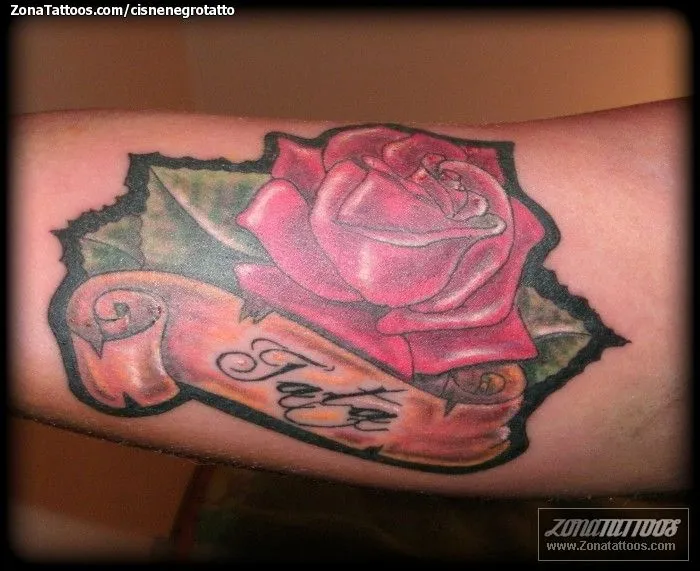 Tatuaje de CisneNegroTatto - Rosas Pergaminos Flores