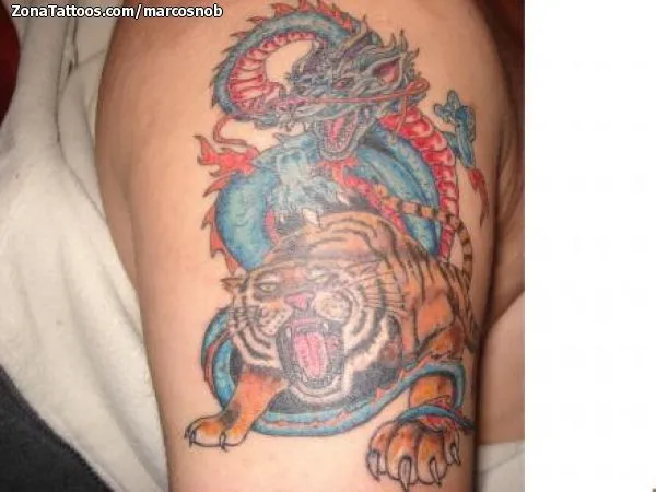 Tatuaje de marcosnob - Tigres Dragones