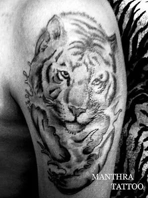 Tatuaje de Tigre | DISEÑOS DE TATUAJES