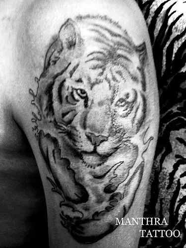 Tatuaje de Tigre | DISEÑOS DE TATUAJES 