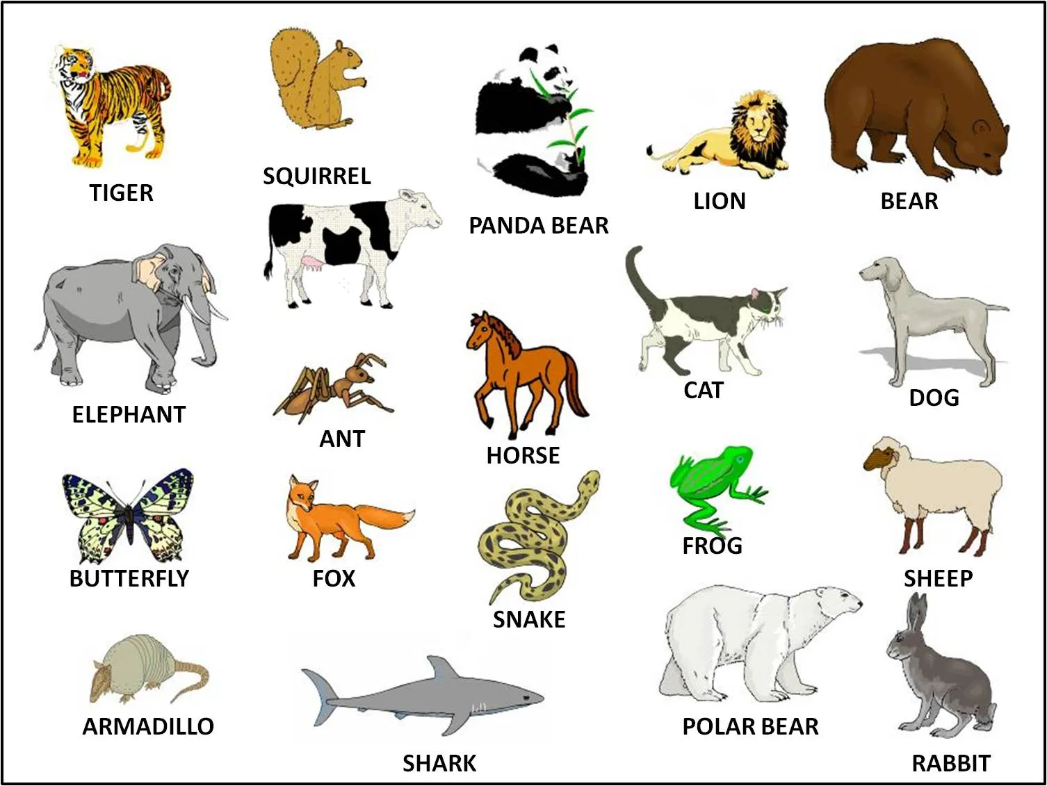 TEACHER´S CORNER HERRATILLAS 1: ANIMALS (ANIMALES)