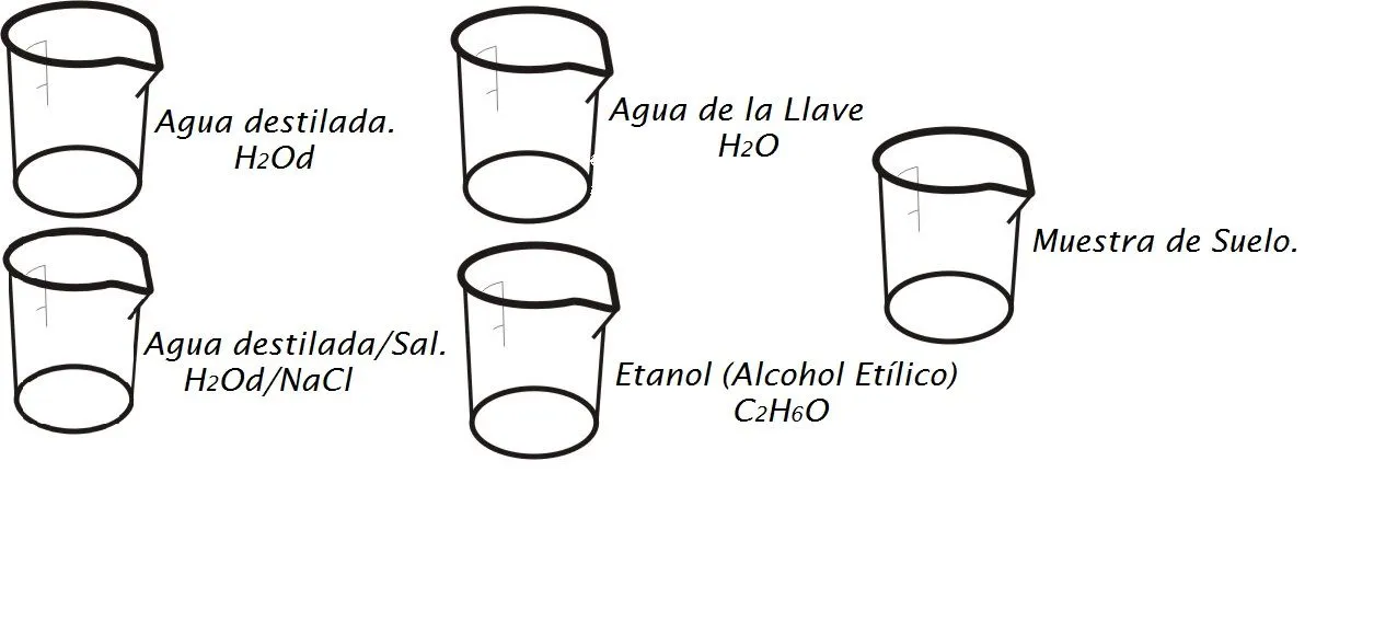 Team Thunder: Determinación de Iones en el Suelo.