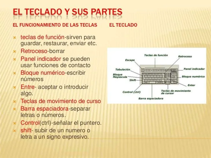 El teclado y sus partes