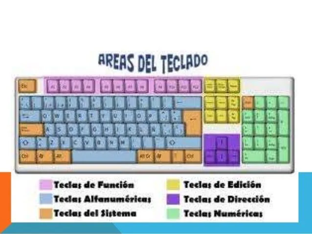 El teclado y sus partes