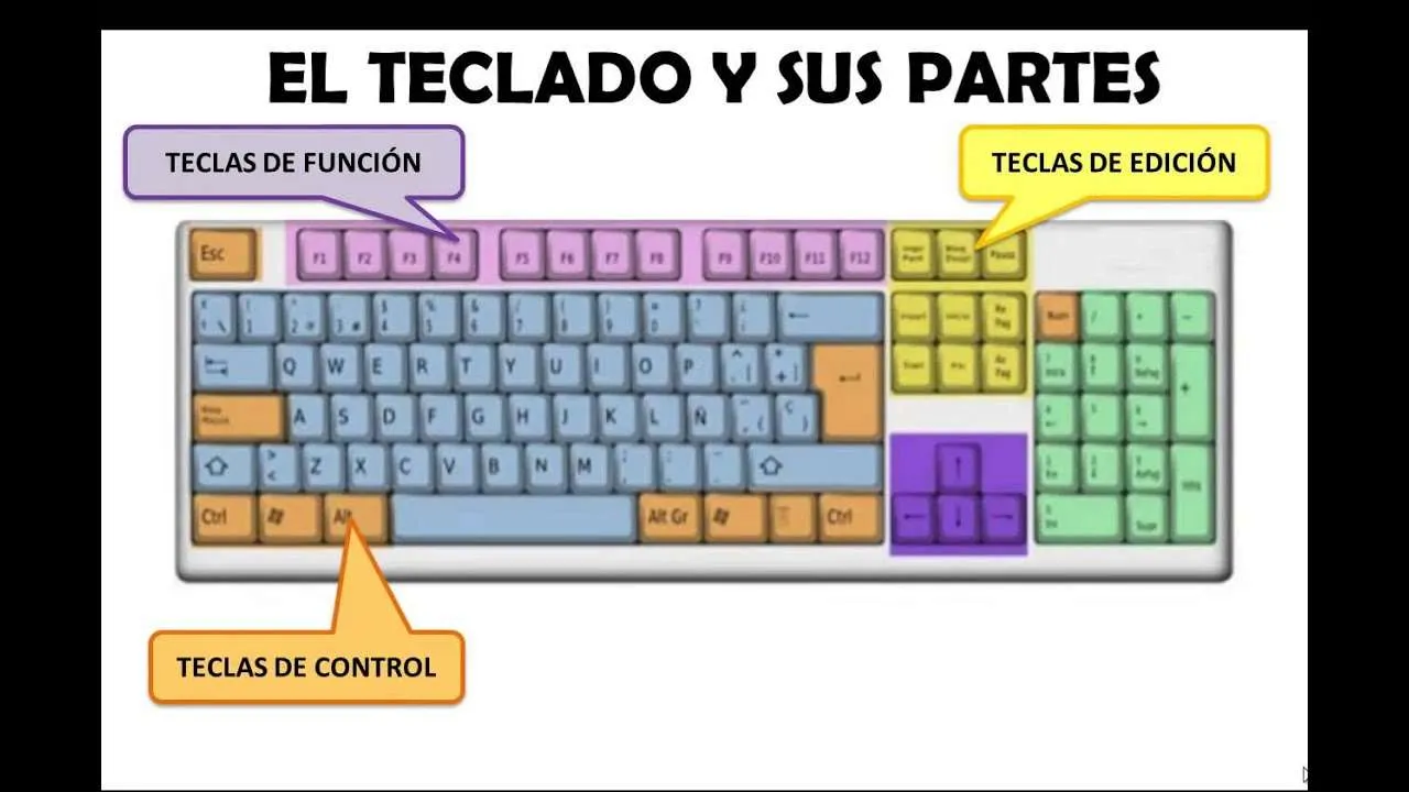 teclado y sus partes - rompecabezas en línea