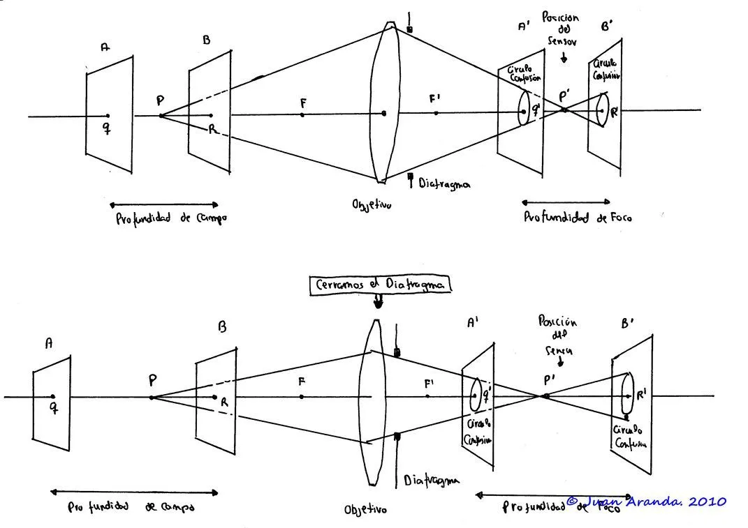 Técnica Fotográfica: Profundidad de Campo y Apertura del Diafragma
