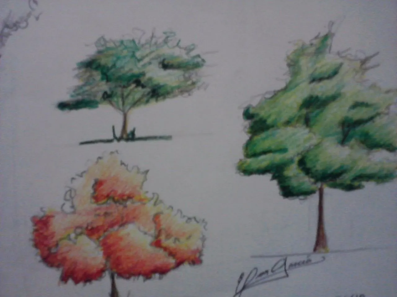  ... las tecnicas de dibujo de arboles tanto a crayon como a lapiz