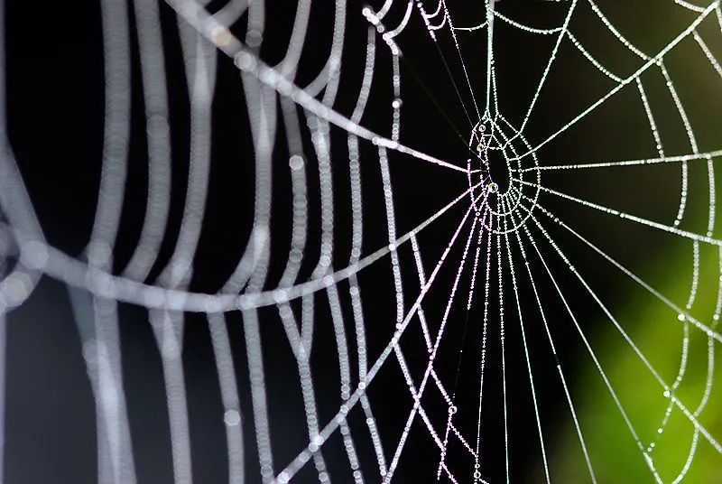 Técnicas de Trabajo Grupal: La Telaraña