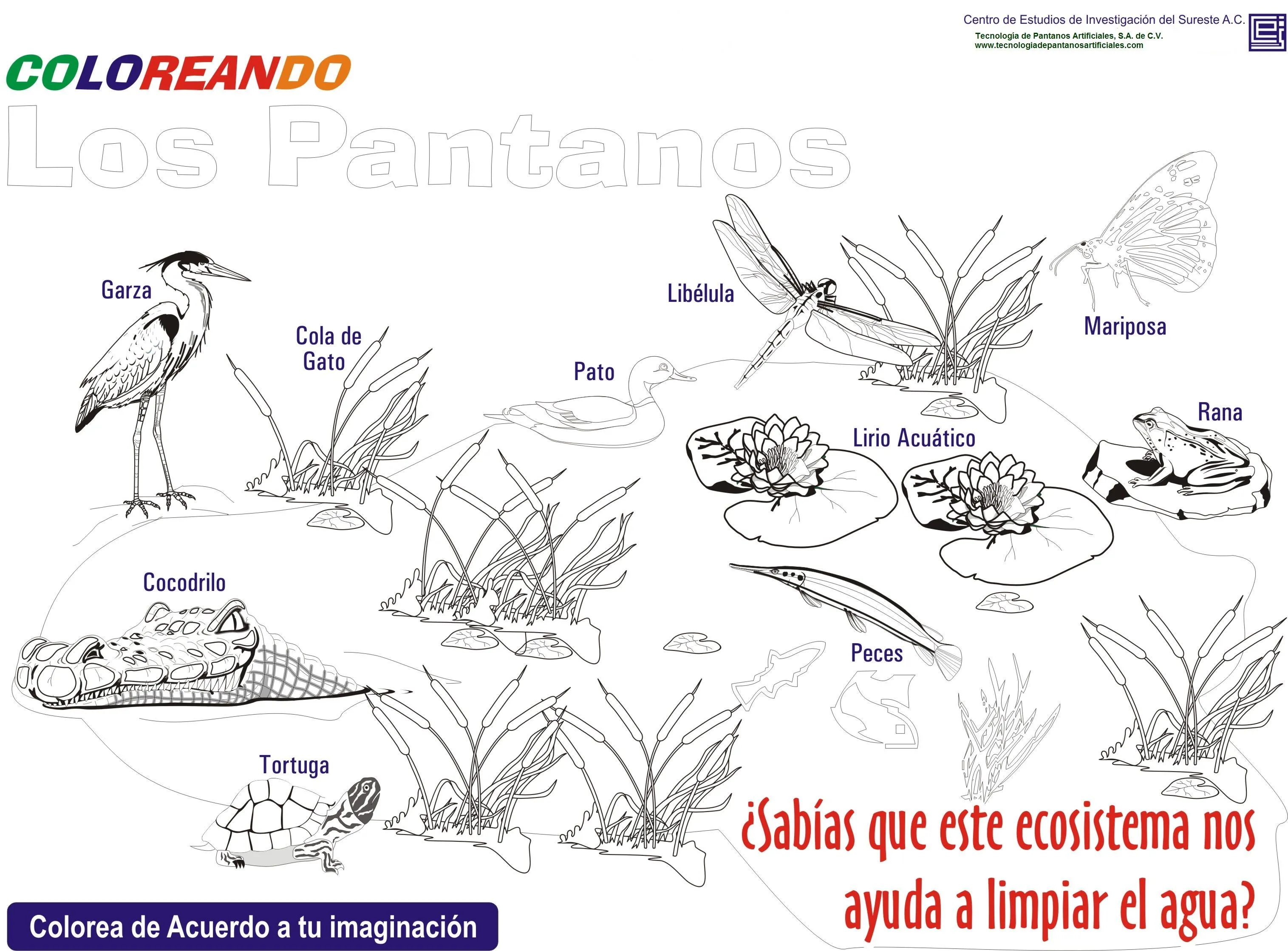 Tecnología de Pantanos Artificiales, SA de CV - Publicaciones