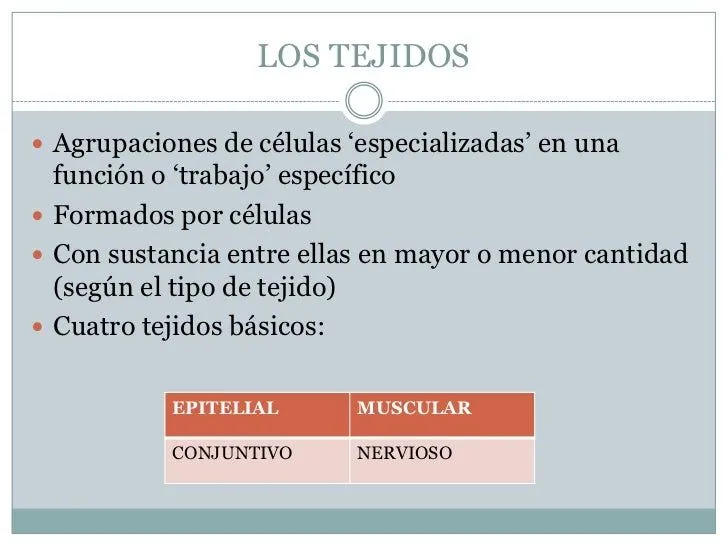 Tejidos básicos. Esquema