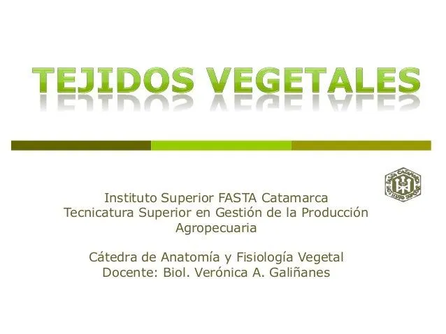 Tejidos vegetales