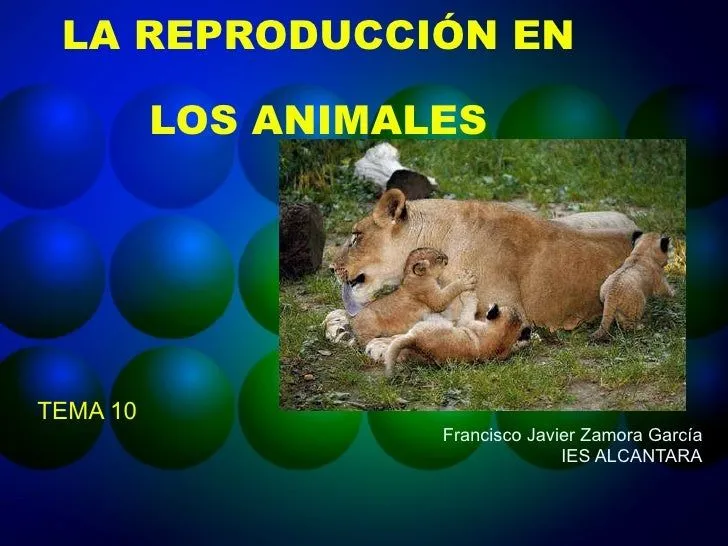 Tema 10 la reproduccion en animales