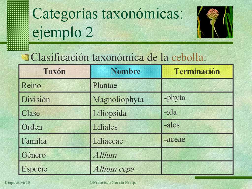 Tema 18: Diversidad. Clasificación y nomenclatura de los seres vivos.