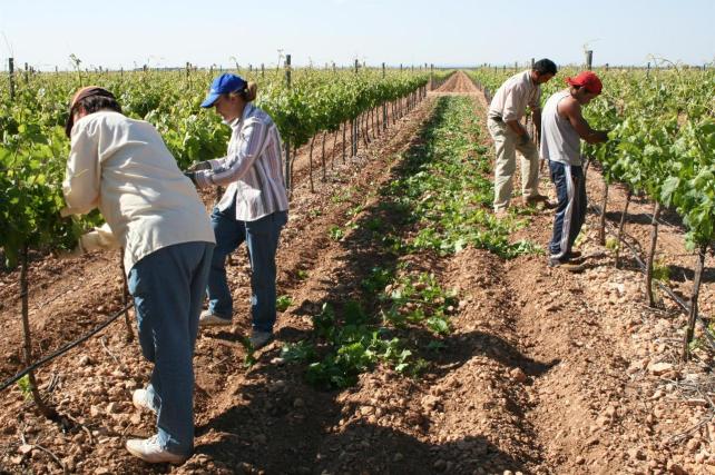 TEMA 4: UN RECORRIDO POR LA HISTORIA | MÓDULO CIENCIAS SOCIALES ...