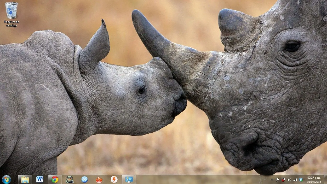 Tema De África Salvaje Para Windows 7 ~ Temas Para Windows 7