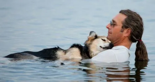 Ver Tema - El hombre y el perro durmiendo en el lago • ¡¡Ábrete ...