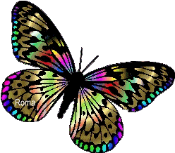 Tema: Mariposa de Color (Dedicado)