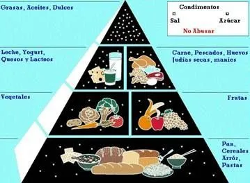 TEMA VI: Nutrición – Los Alimentos | DSM-