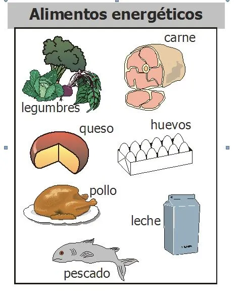 TEMAS EDUCATIVOS PARA PRIMARIA: 3ro - CIENCIAS NATURALES - LOS ...