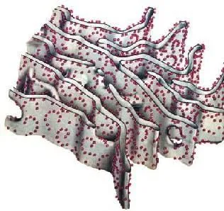 Temas Selectos de Biología: agosto 2009