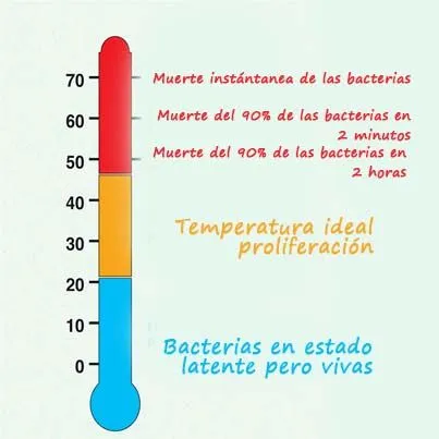 Tenerife | Control de plagas by APINSA