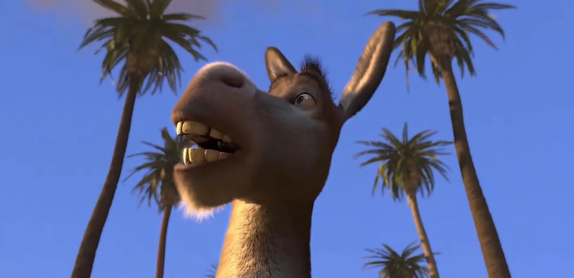 Teoría afirma que Burro de 'Shrek' era uno de los niños que se convirtieron  en asnos en el cuento de 'Pinocho' | Entretenimiento Cine y Series |  Univision