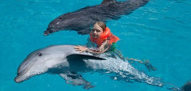 Terapias con delfines en niños con alguna discapacidad