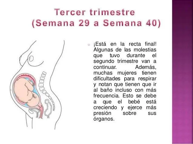 Tercer trimestre de embarazo