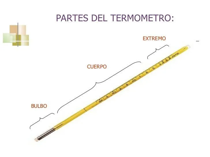 Termometro de mercurio y sus partes - Imagui