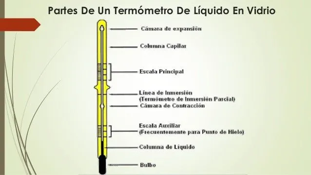 Termometro de mercurio y sus partes - Imagui