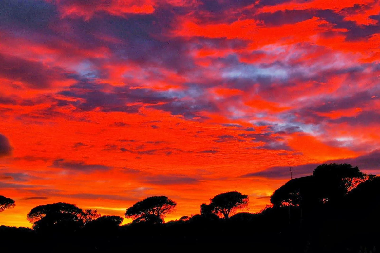 Terrapin: A tus atardeceres rojos se acostumbraron mis ojos..