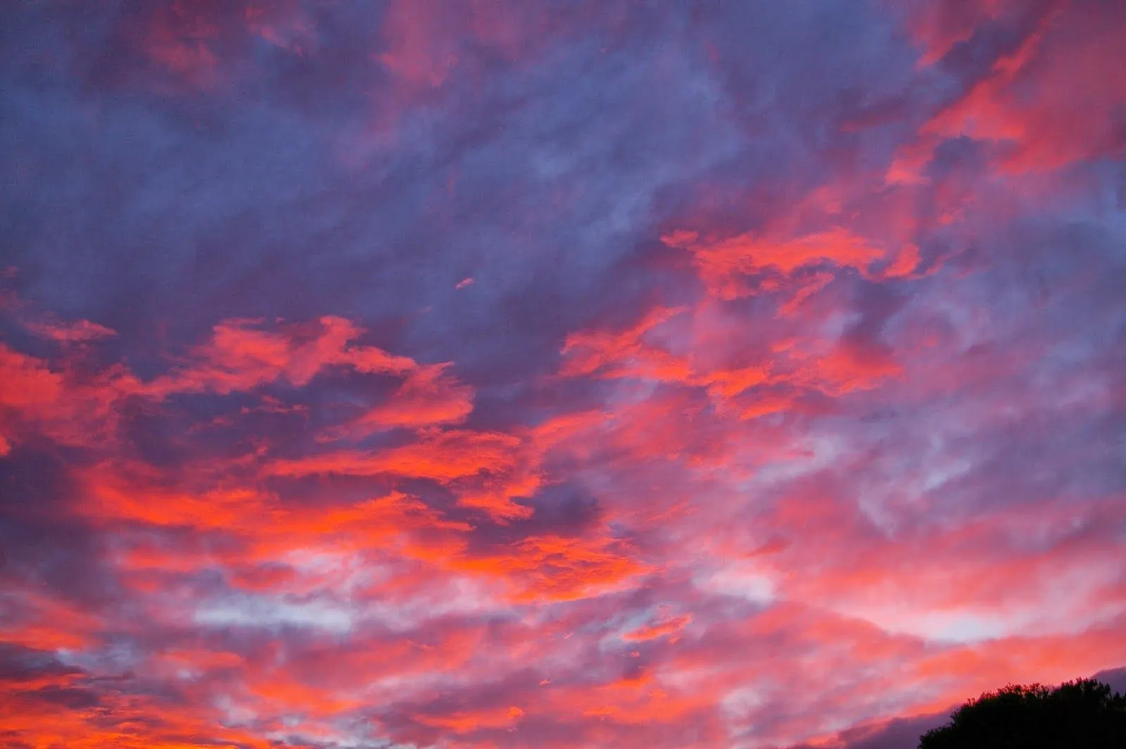 Terrapin: A tus atardeceres rojos se acostumbraron mis ojos..