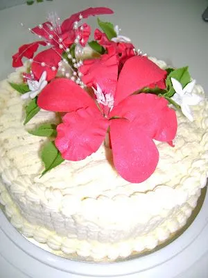 TERRENO DULCE: torta cubierta con chantilly ,decorada con flores rojas