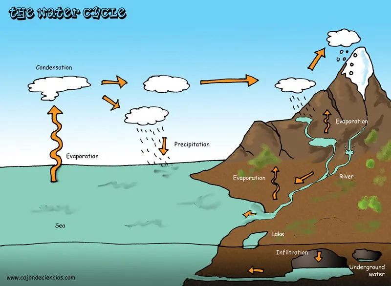 TERRITORIO APÁTRIDA: El ciclo del agua