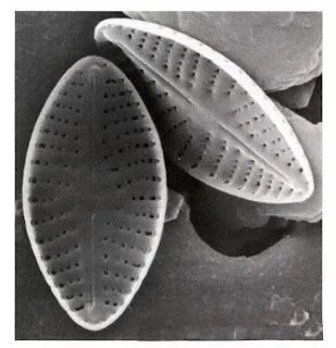 TERRITORIO NATURAL: junio 2010