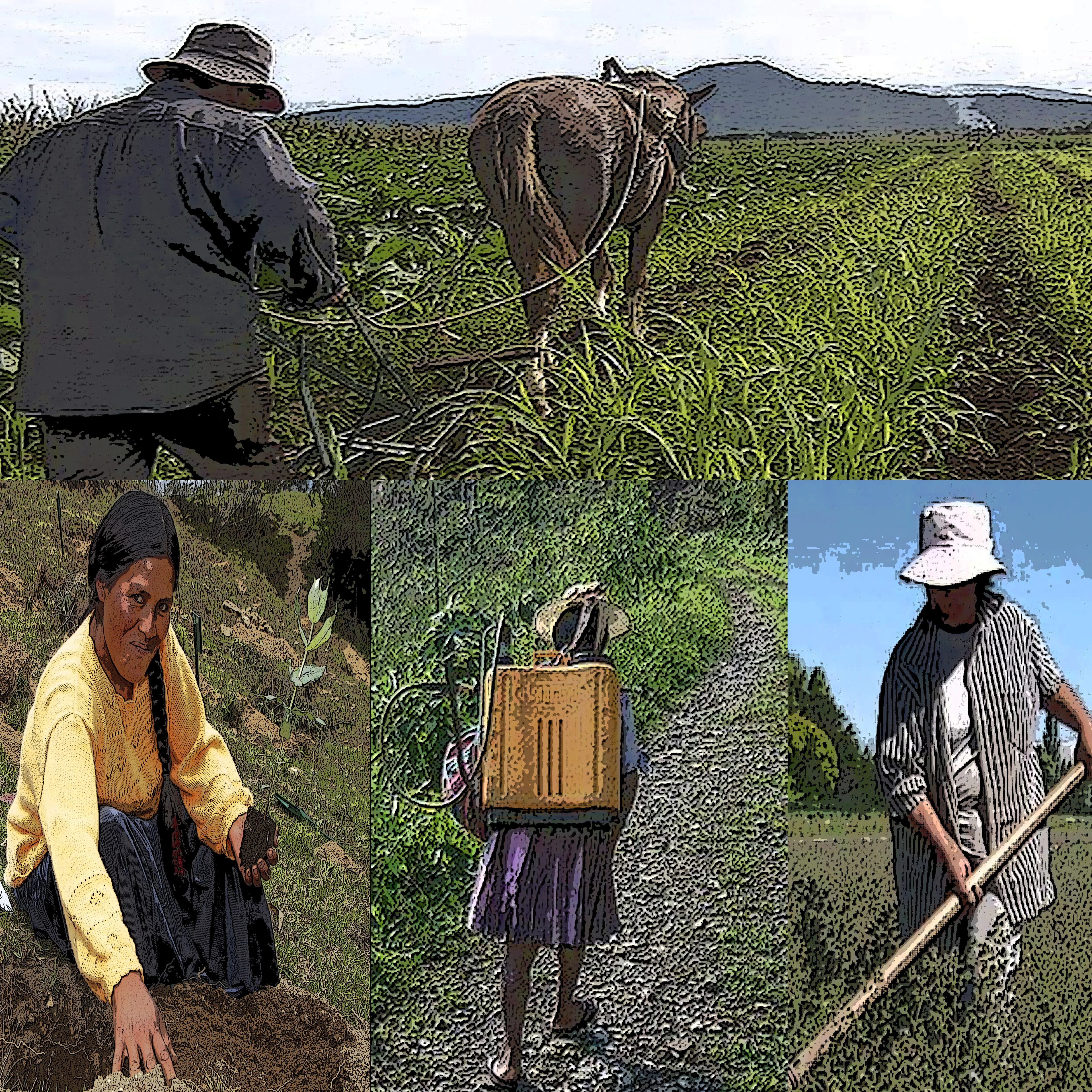 Territorios, diversidad y comunidades rurales ...