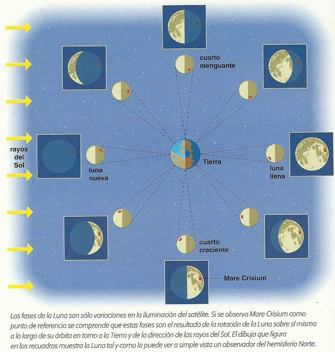 Tertulias poéticas: ¿POR QUÉ VEMOS LO QUE VEMOS DE LA LUNA?