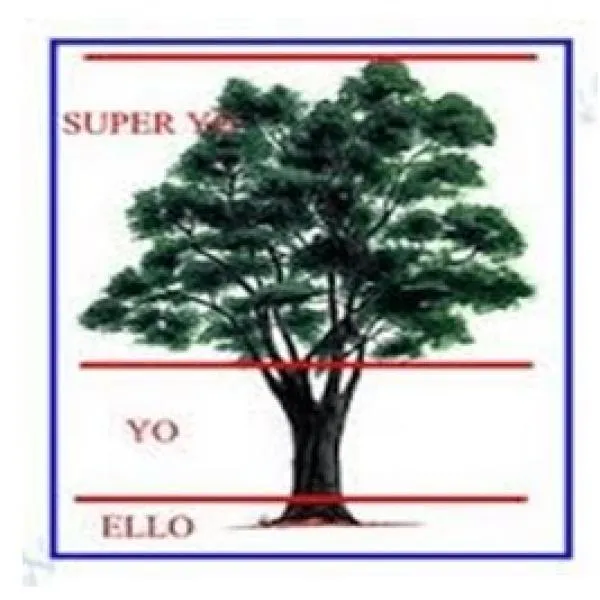 El Test del Árbol de Koch