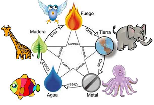 TEST DE LOS 5 ELEMENTOS - Evolución consciente